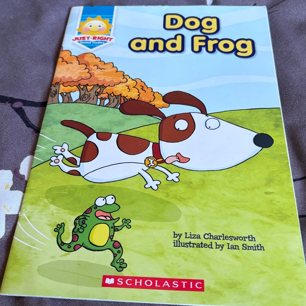 Scholastic young reader book bundle - Picture 6 of 8